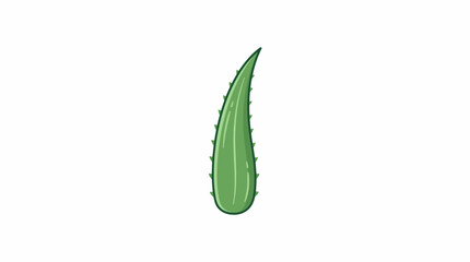 A green aloe leaf stands alone on a white background for 20260701 reference. © Senolim