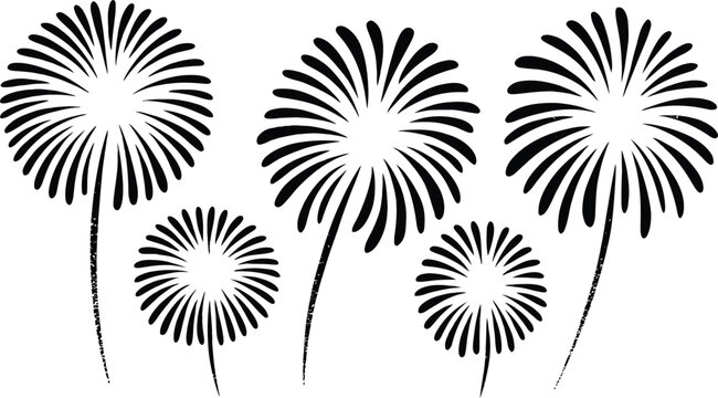 Stylized hand drawn firework dandelion flower explosions with fireworks explosion dandelion celebration illustration abstract isolated elements festival creative minimalist monochrome