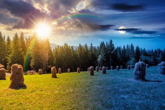 rural landscape with coniferous forest on a green hill. day meet night. sun and moon over spruce trees on grassy meadow in tatra mountains at twilight. summer solstice in poland. astrology wallpaper
