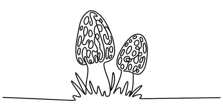 Continuous single line drawing of two morel mushrooms growing in the forest ground in a simple minimalist art style Vector, illustration