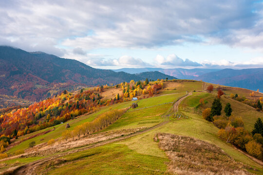 winding rural dirt path through hill. rolling countryside of ukraine in fall color. cloudy morning sky. carpathian mountains in autumn