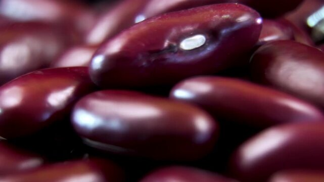 Macro rotation of organic red bean Phaseolus vulgaris seeds pile, showcasing rich anthocyanin seed coat pattern and distinct hilum in selective focus