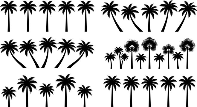 Tropical Palm Tree Silhouette Set with Coconut Palms, Fan Palms, and Exotic Botanical Fronds for Summer Vacation Posters and Beach Travel Branding Designs