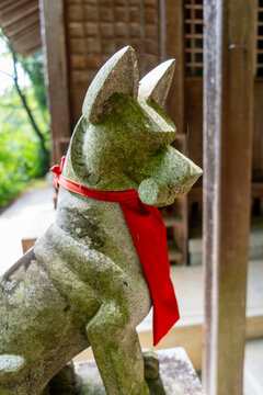 Inari fox statue at Nishikiyama Shrine in Takayama, Japan