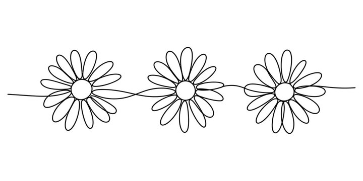 Three simple daisy flowers drawn in a continuous black line art style on a clean design for spring floral patterns Vector, illustration