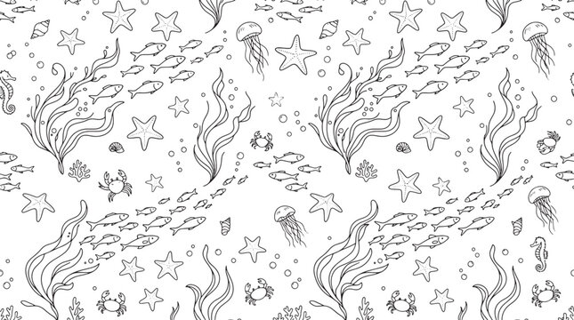 Seamless pattern with hand drawn marine life including fish seaweed starfish and jellyfish in black outline style