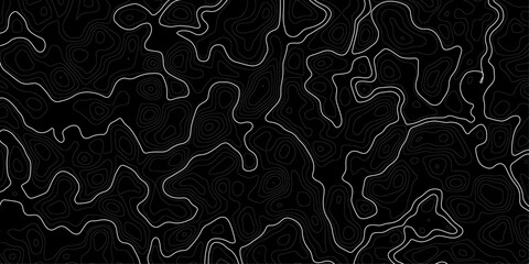 Design illustration for wall art, fabric, packaging, web, banner, wallpaper. Vector geography scheme and terrain. Black topography grid map.  © Noor