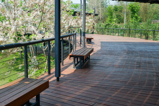 A scenic park and bench with a long alley of blooming pink flowers, walkway in garden,walking track with flowers scene beautiful view spring season concept.