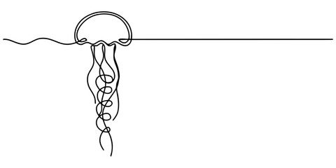 Continuous single line drawing of a jellyfish swimming underwater minimalist art style Vector, illustration © Continuous Line Art