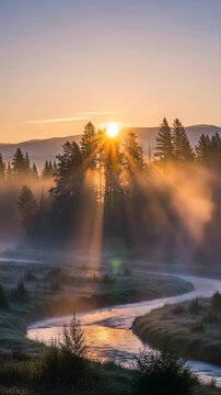 Sunrise over a misty river flowing through a forest with trees and hills
