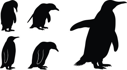 Black Penguin Silhouette Vector Icon Set Featuring Various Poses of Antarctic Birds for Wild Animal Graphic Designs © Shakil
