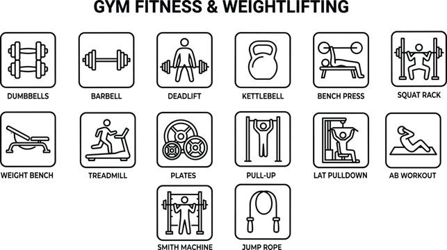 Gym fitness and weightlifting line set featuring various workout equipment and exercise