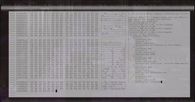 Fade-in terminal overlay scrolling hex dump and ASCII while showing nmap scan listing services