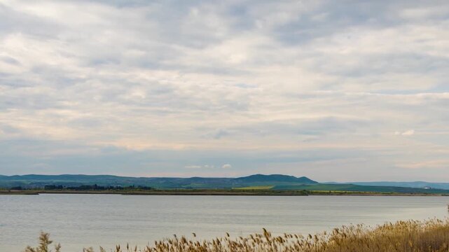 Wind shakes dry reeds and makes ripples on a river with a reflection of a clouds