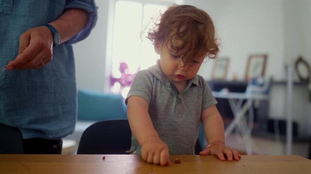 Toddler picking up food from dining table, expressing self feeding, curiosity and early childhood independence