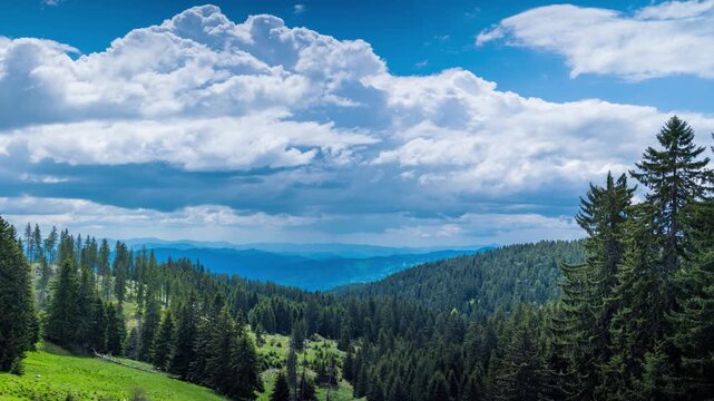 Mountain valley with meadows and spruce forests against the backdrop of a daytime cloudy sky