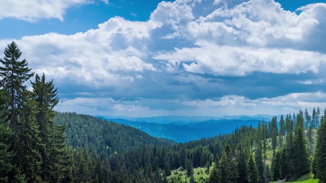 Mountain valley with meadows and spruce forests against the backdrop of a daytime cloudy sky