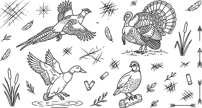 Hunting game birds vector element set featuring flying mallard duck pheasant turkey quail arrows and cattail reeds