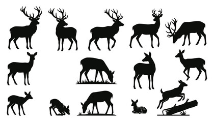 Fototapeta premium Deer Silhouette Set with Antlers and Woodland Poses in Black Vector Style for Hunting and Nature Icons