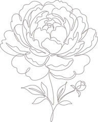 Minimalist Peony Flower Continuous One Line Drawing Vector for Wedding Invitations, Floral Branding & Minimalist Wall Art Decor (EPS) © Muhammad