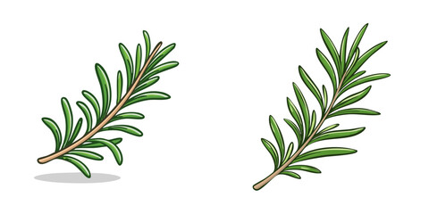 Fototapeta premium Set of hand drawn rosemary sprigs with green leaves