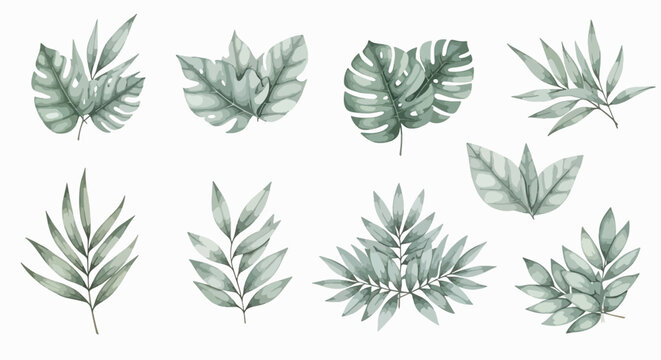 Close-up of different types of green pine needles clusters.