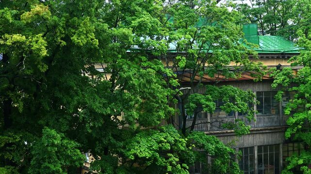 house in the foliage of trees, it's raining outside