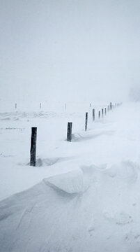 Weathered fence posts buried in deep snowdrift during arctic blizzard