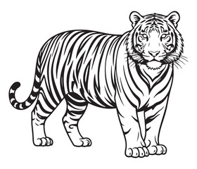 Obraz premium Tiger Standing Isolated on White Background