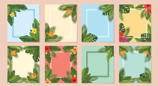 Assorted potted green plants on colorful window sills.