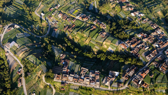 Aerial view of terraced vegetable fields and small houses nestled in the lush green landscape of Indonesia.