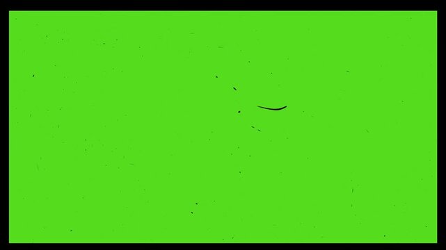  No signal tv screen noice and texture. Glitchy green screen with distorted pixels and black border. Vintage Film Frame Green Screen Overlay with Dust and Retro Cinema Effect, Classic analog texture.