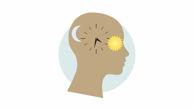 Human Biological Clock with Day and Night Cycle Flat Illustration