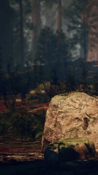 In a forest, large rocks are scattered among trees and plants. The sunlight filters through the leaves, creating shadows on the ground. This scene shows a natural environment.