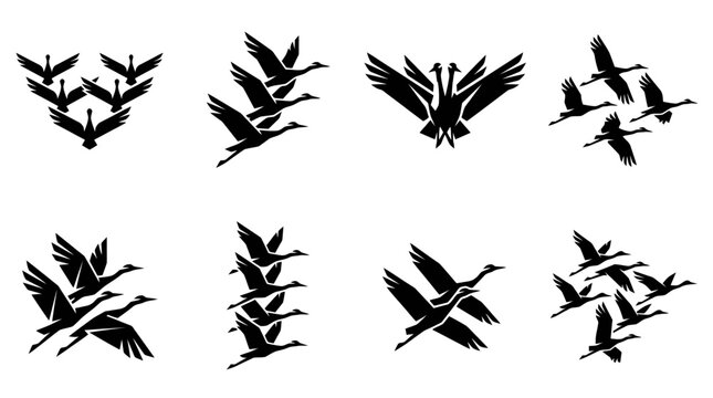 Flock of Cranes Flying in Formation