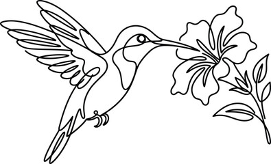 Continuous line art of a hummingbird drinking nectar from a flower. © Hyiu