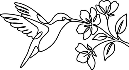 Minimalist continuous line art of a hummingbird drinking nectar from a flower branch. © Mutmainah