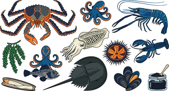 Exotic Marine Seafood Vector Illustration Set Featuring King Crab, Blue Lobster, Tiger Shrimp, Cuttlefish, Horseshoe Crab, Sea Urchin, Sea Grapes, Octopus, Caviar Jar, and Scallop Shells