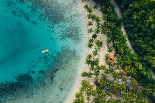 Aerial view of Port Barton beach with turquoise water, lush palm trees, and small buildings along the coastline in San Vicente, Mimaropa, Philippines.