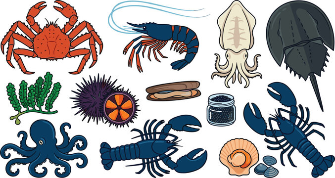 Exotic Marine Seafood Vector Illustration Set Featuring King Crab, Blue Lobster, Tiger Shrimp, Cuttlefish, Horseshoe Crab, Sea Urchin, Sea Grapes, Octopus, Caviar Jar, and Scallop Shells