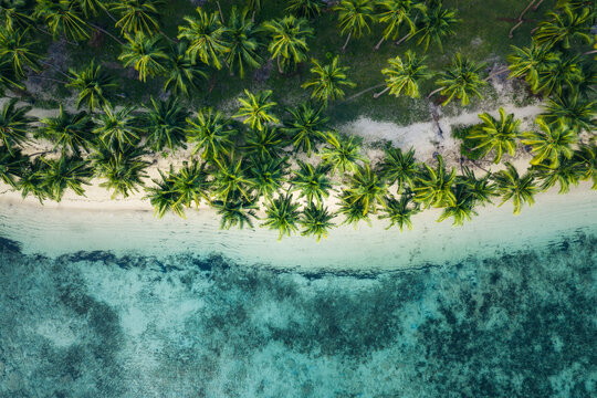 Aerial view of Port Barton beach with lush palm trees lining the white sand shore and clear turquoise water with coral reefs in San Vicente, Mimaropa, Philippines.