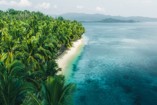 Aerial view of Port Barton beach lined with lush palm trees and turquoise waters in San Vicente, Mimaropa, Philippines.