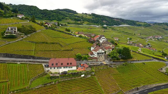 Scenic aerial flight over Lavaux vineyard terraces and villages