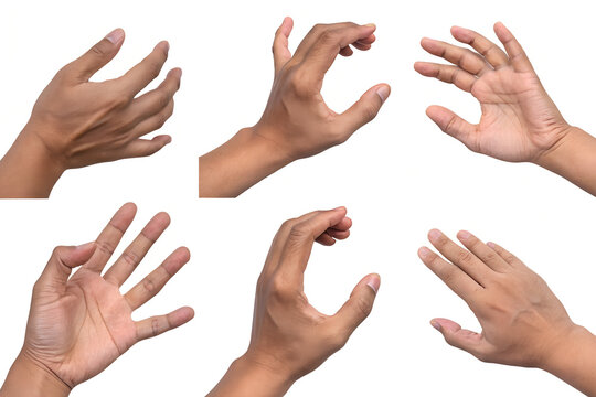 Collection of human hands showing various gestures on white background with gestures grasping reaching physical communication expression isolated background collection