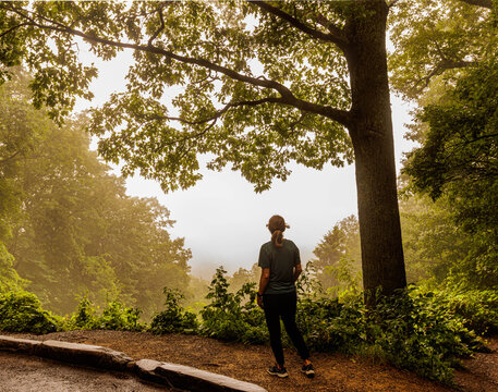 Female Tourist With Foggy Appalachian Forest on The Roaring Fork Motor Nature Trail, Great Smoky Mountains National Park, Tennessee, USA