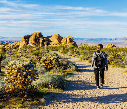Female Hiker on The Indian Cove Nature Trail, Joshua tree National Park, California, USA