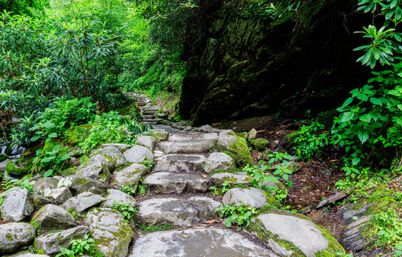 Stone Steps Leading to Grotto Falls on The Trillium Gap Trail, Great Smoky National Park, Tennessee, USA