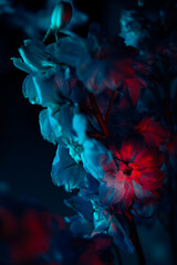 Obraz premium Neon flowers in blue and red colors, cinematic moody photo