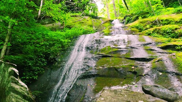 Porters Creek Sliding Down The Moss Covered Granite Wall at Fern Branch Falls, Greenbrier, Great Smoky Mountains National Park, Tennessee, USA