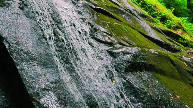 Closeup of Porters Creek Sliding Down The Moss Covered Granite Wall at Fern Branch Falls, Greenbrier, Great Smoky Mountains National Park, Tennessee, USA